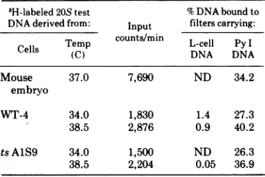 TABLE 3.synthesized Hybridization of 3H-labeled 20S DNA in Py-infected WT-4 and ts AJS9 cells,with virus and cell DNAG