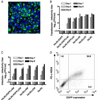 FIG. 1. Deletions in NS5A domain II conferred efﬁcient growth kinetics to 2a(J6)-EGFP and did not impair the viability of 2a(J6)