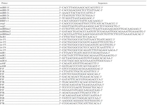 TABLE 1. Primers used in PCR