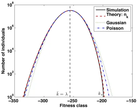 Figure 3 Comparison of thethe analytic result Equation 4 and a Gaussian with equal mean and variance.The simulation result is the median ﬁtness distribution obtained in simulations with ﬁtness distribution observed over 106generations with parameters l = 256, Ns = 1.25 · 106, and N = 109.