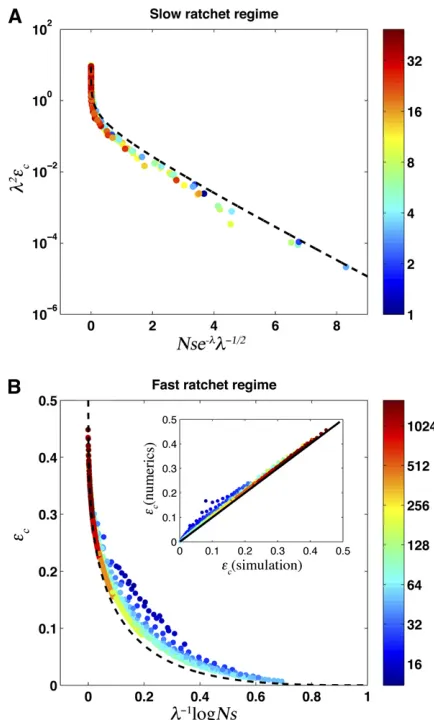 Figure 4 1 ðecl2 � 1Þ, Equation 9. The inset compares the Nthe two regimes. Simulation results are shown as points, with color in-dicating for1=lÞ NssNe l, and and even in small populations approaches