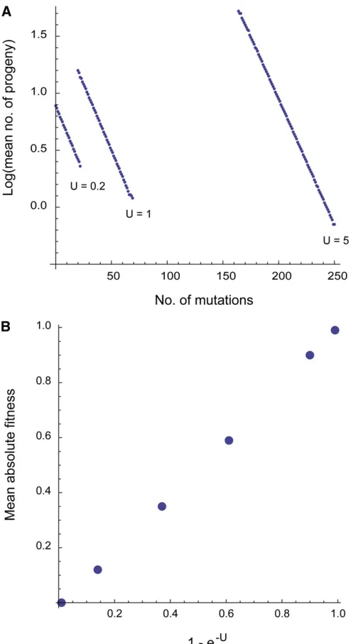 Figure 6 Individual and populationder a relativeprogeny number and the number of mutations for three populationssubject to genomic deleterious mutation rates of 1, 2, and 5