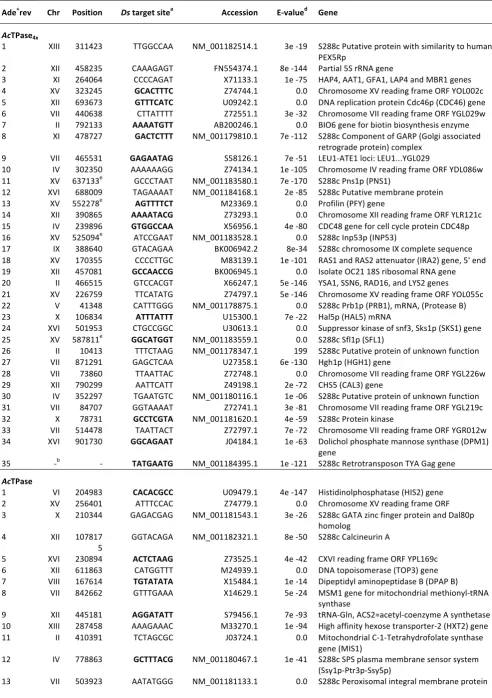 Table   S1         Ds   insertion   sites   in   yeast   