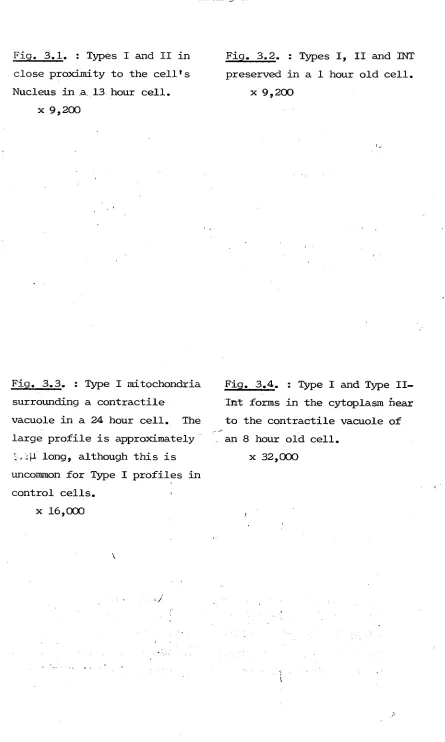 Fig. 3.1. : Types I and II in 