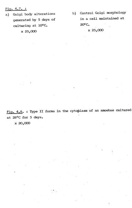 Fig. 4.7. : 