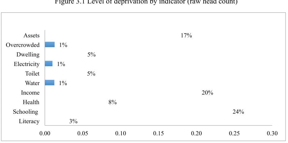 Figure 3.1 Level of deprivation by indicator (raw head count) 