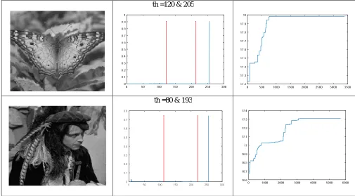 Table 2: Results obtained after applying HSO using Otsu over Lena, Baboon, Camera man, Butterfly and Hunter  images  