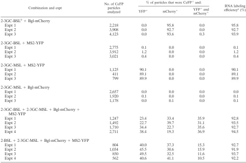TABLE 2. Single virion analysis of HIV-2 particles from genomes containing altered 6-nt palindromes in SL1