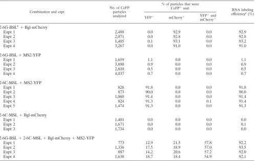 TABLE 4. Single virion analysis of particles derived from coexpression of two HIV-2 constructs, one of which does not express Gag
