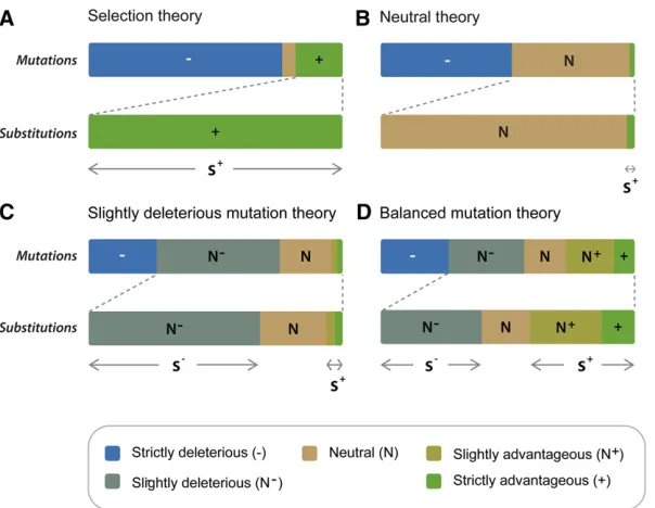 Figure 1 (A) Darwin’s (and neo-Darwinian selection)