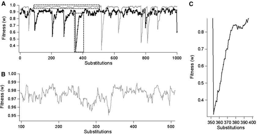 Figure 2 (A) Fitness of the evolutionary process for a sequence of substitutions with a randomly shifting optimum (variable geometric model, VR)