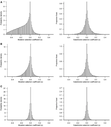 Figure 3 Probability density of selection coefwith 10ﬁcients of mutations (left) and the proportion ﬁxed (right) in the balanced steady state (SR) model fordifferent average mutation sizes: (A) �r ¼ 0:5, (B) �r ¼ 0:25, (C) �r 5 0:1