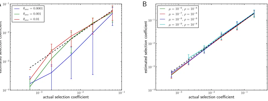Figure S 2 Comparison of the accuracy of our estimator to the accuracy of estimates obtained from the program sweepfinderselection coeﬃcients exceedand also for weaker selection coeﬃcients