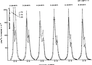 FIG.,,,,,nVL_.Allall[3H]thymidine. 1. Diagram of temperature shift-up experiments. Virus was adsorbed to monolayers for 1 h at 37 C when cultures were shifted to 34 C