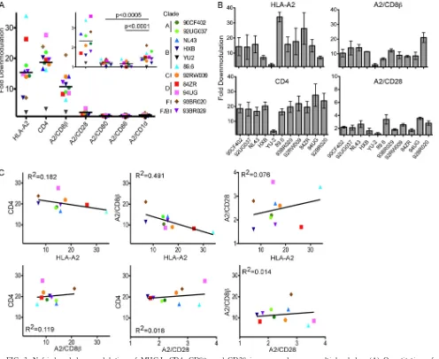 FIG. 3. Nef-induced downmodulation of MHC-I, CD4, CD8, and CD28 is conserved across multiple clades