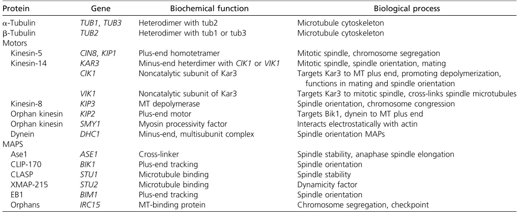 Table 2 Spindle parts list