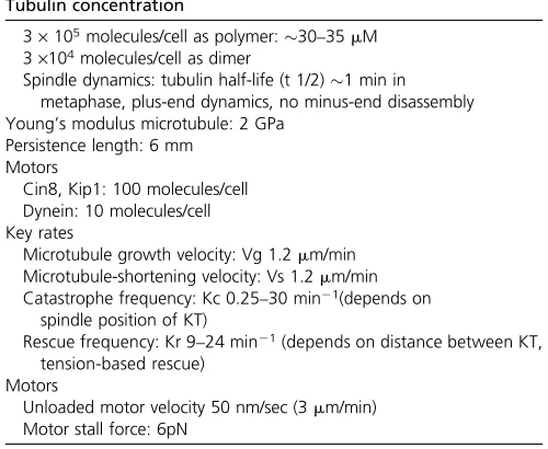 Table 3 Rates and numbers