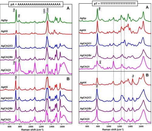 Figure 3. SERS spectra of pT on different colloids: (A) AgSp, AgHX, AgCit@Cl, AgCit@Br and AgCit@I