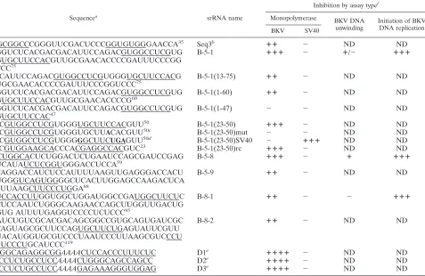TABLE 1. RNA sequences