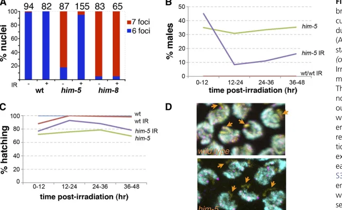 Figure 3cit of RAD-51 foci on the X.Autosomes are labeled with rat anti–(yellow), and DSBs with rabbit anti Table S4)