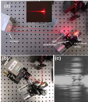 Fig.  3.  Experimental  set‐up  for  the  measurement  of  the  diffraction pattern given by a vibrating cantilever array. The  set‐up  (a)  produces  an  image  on  a  screen.  If  we  want  to  register the image directly on the CCD we use the set‐up (b)