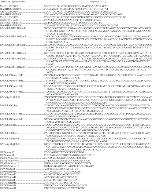TABLE 1. PCR primers and oligonucleotides for construction of plasmids and HCMV BAC DNAs for this study