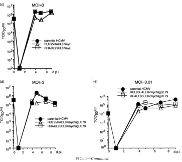 FIG. 1—Continued.