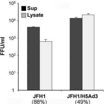 FIG. 4. Infectious virus titer of cell culture supernatant ﬂuids andintracellular lysates of JFH-1 and JFH-1/H5Ad3 RNA-transfected