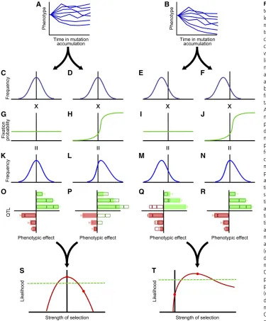 Figure 1 A depiction of our approachof the likelihood across a range of values of the strength of selection: in this case, samples drawn from the distribution in K are identibut matched the negative QTL poorly