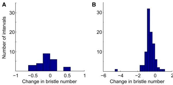 Figure 2 Frequency distribution of changes in bristle traitsmelanogaster(B) Change in abdominal bristle number in a mutationaccumulation experiment by Lopez and Lopez-Fanjul(1993)