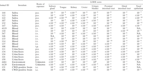 TABLE 4. Summary of individual tissue LODE scores for CWD-infected deera