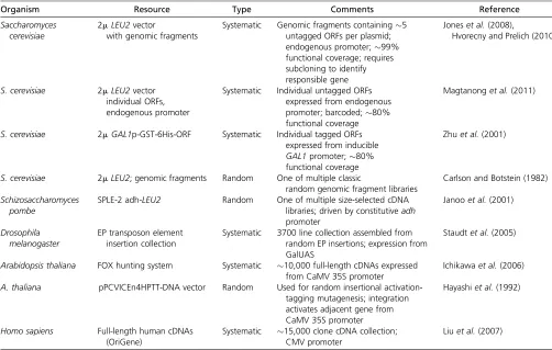 Figure 2 Common uses of overexpression. The prototypical strategy ofoverexpressing a wild-type gene in a wild-type cell is depicted in thecenter of the ﬁgure