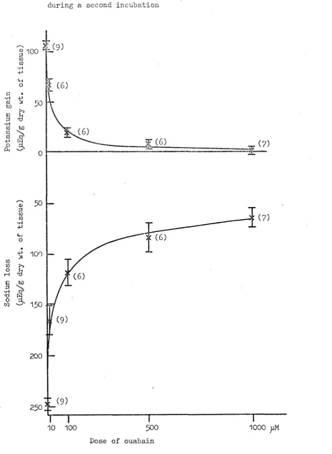 Fig. 9 The effect of ouabain on sodium extrusion and 