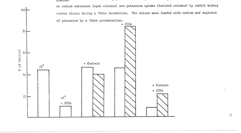 Fig 13. The effect of omitting potassium, adding ouabain ( 1 ^ ) or ethacrynic acid (2mM) 