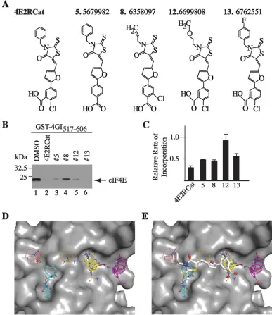 FIG. 3. SAR and in silicodependent translationindicated compounds at a ﬁnal concentration of 100were treated for 4 h with the indicated compounds at a concentration of 25averages from duplicates with the errors of the mean shown, and values are standardize