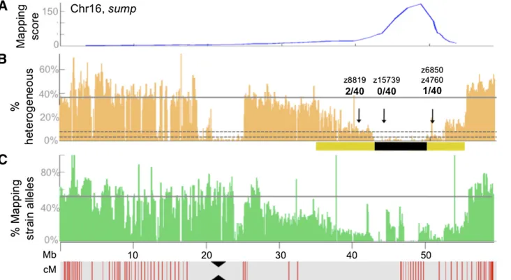 Figure 2 sumpbelow the graphs indicate genetic distances, with lines spaced atthe percentage of sites containing mapping-strain alleles