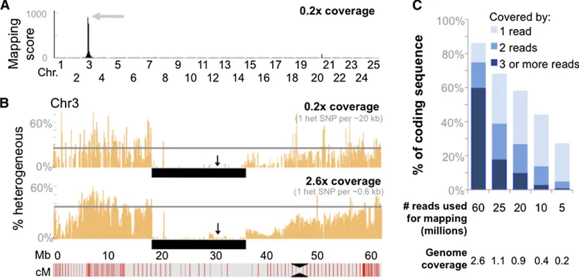 Figure 3 Identithat lies in the candidate interval is in-dicated (arrow). (B) Lateral view of adultwild-type and homozygousfunction allele of Bmp1a that underliesthemapping-score plot forfor Chr8, which contained the highestmapping score in the genome