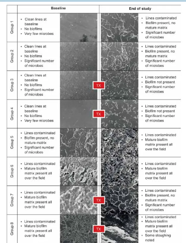 Fig. 2: Scanning electron microscopy of waterlines at baseline and end of study (400 ×)