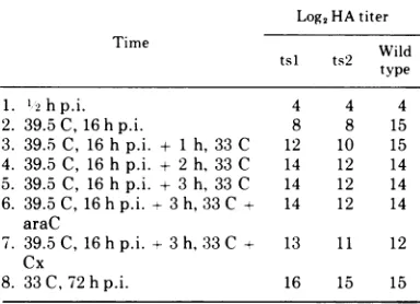 TABLE 2. Isolation of H-1 mutants tsl and ts2a