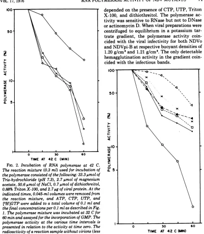 FIG. 3.NDVpi-B,polymeraseuntreated26.67tivity26.67jug,Fig.10%amountsPolymeraseNDVo,inhibitorthe6.67 Assays to detect the existence of a possible of the RNA-polymerase activity at 42 C