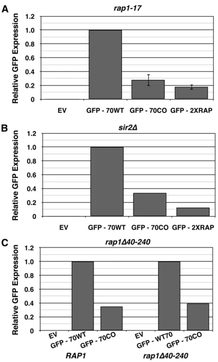 Figure 6 Neither the N nor the C terminus of the Rap1p protein affect itspression was measured byvector; GFP-70WT, construct with 70 bp of critical region from native Ty1inserted immediately after stop codon of GFP; GFP-70CO, construct with70 bp of critica