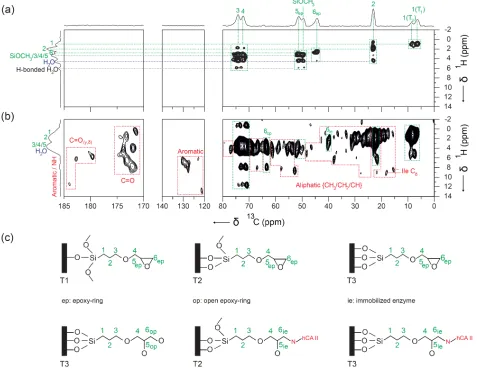 Figure 3. Two-dimensional 1H-13C FSLG-HETCOR spectra of (a) epoxy-silica, (b) [15N Leu]/hCA II immobilized on epoxy-silica in natu-ral abundance and (c) simplified schematic representation of epoxy-silica surface before (top row) and after (bottom row) cov
