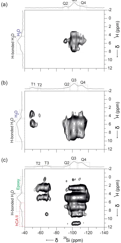 Figure 4. Two-dimensional 1H-29Si FSLG-HETCOR spectra of (a) silica (b) epoxy-silica and (c) [U-15N]/hCA II immobilized on epoxy-silica acquired using homonuclear FSLG decoupling scheme and a 1H-29Si CP contact time of 5 ms on a B0 = 9.4 T spectrometer at 