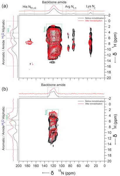 Figure 5. Overlay of the two-dimensional H-N FSLG-HETCOR spectra of (a) [U-15N]/hCA II before (black) and after (red) immobilization on epoxy-silica, (b) Overlay of the 
