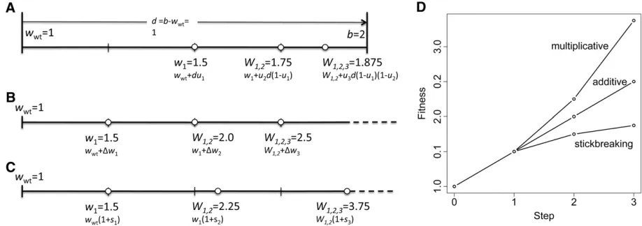 Figure 1 Simple comparison of (A) stickbreaking, (B) additive, and (C) multiplicative models when all three begin with the same initialand better illustrates how stickbreaking produces diminishing effects and a deceleratingdistance from the currentandlines