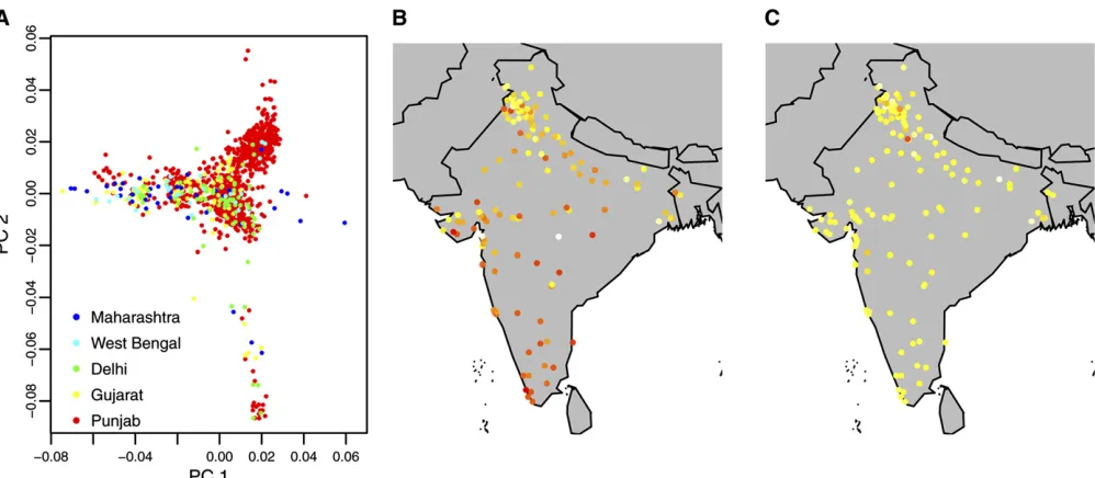 Figure 5 Predictive accuracy ofpcLOCATE and the linear modelapplied to the LOLIPOP data