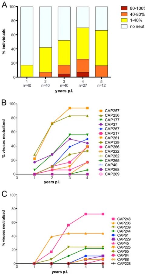 FIG. 5. Development of cross-neutralizing antibodies over 5 yearsof infection. The sera obtained at 1, 2, 3, 4, and 5 years of infection