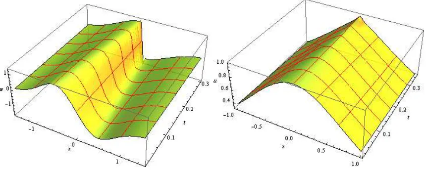 Figure 5: (a) Solutions of the inviscid Burgers equation for a transformed Gaussian initial proﬁle.(b) Solution of the ε = 2-deformation with a Gaussian initial proﬁle in the exp(iπ/4)-direction.