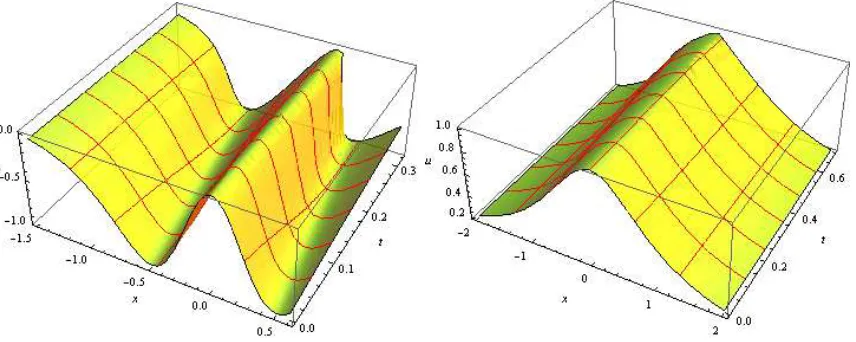 Figure 2: (a) Solution of the inviscid Burgers equation for transformed Cauchy distribution initialproﬁle