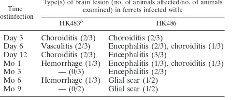 TABLE 2. Prevalence of brain lesions in ferrets at various timepoints postinfection with highly pathogenic H5N1inﬂuenza virusesa